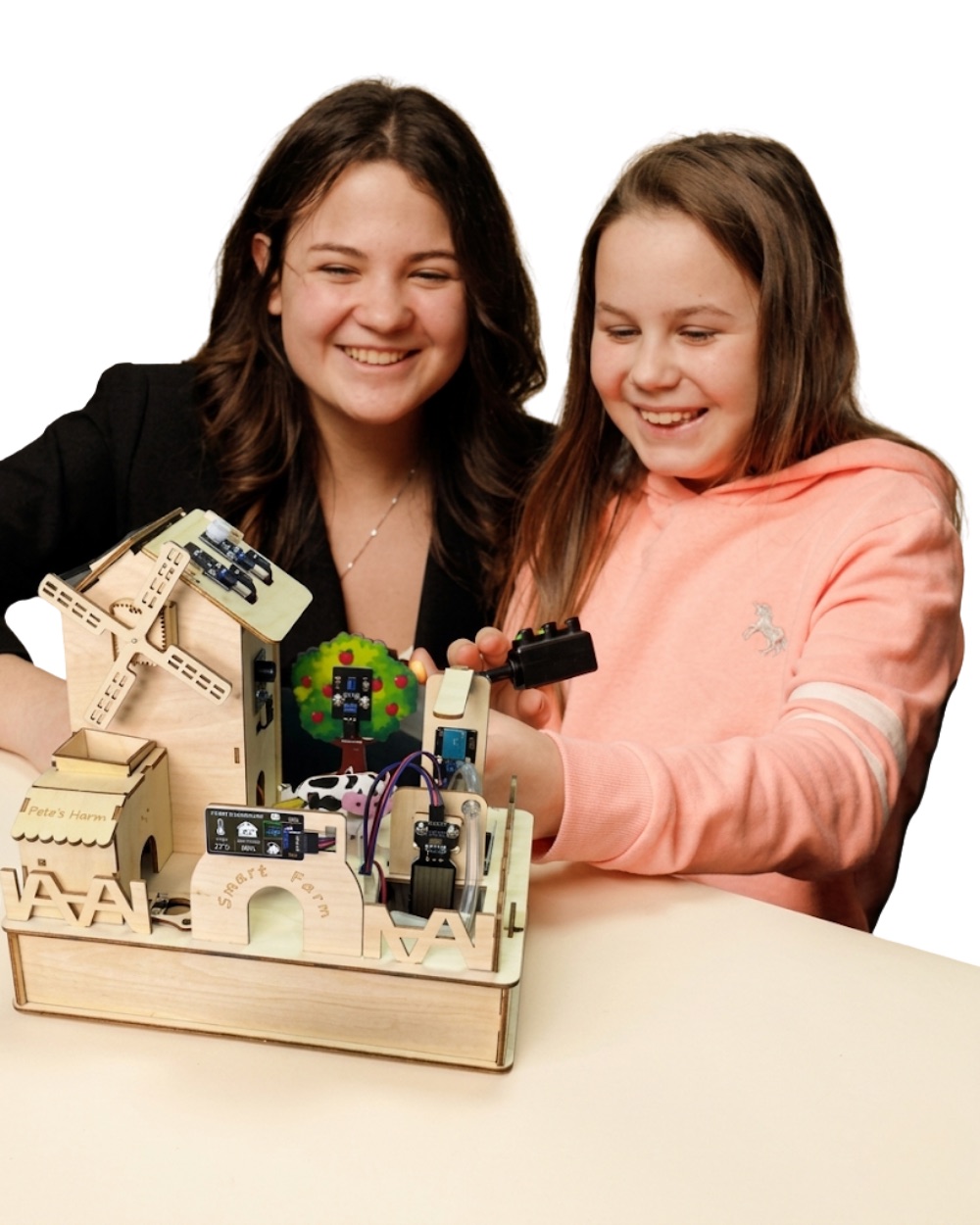Elev programând